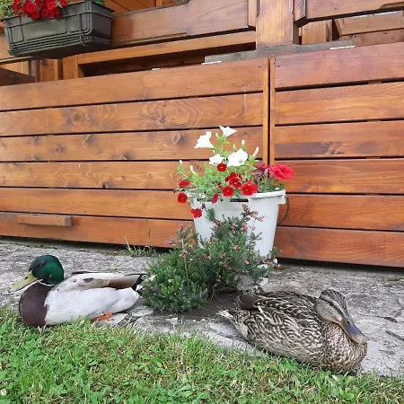 Vakantiehuis Ripac Prascijak