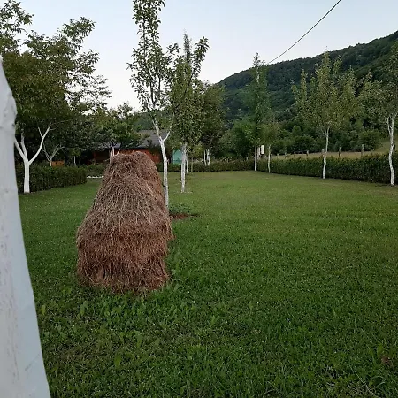 Prázdninový dům Ripac *