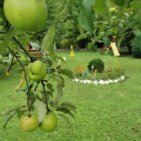 Holiday home Ripac Prascijak