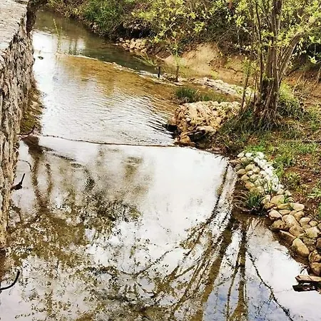 Ripac * Prascijak