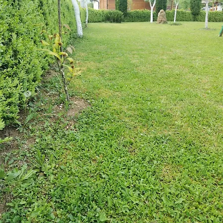 Ripac Holiday home *