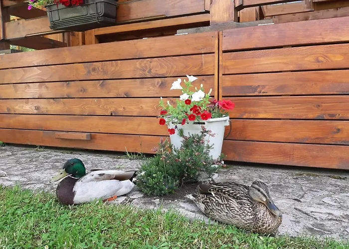 Ferienhaus Ripac Prascijak