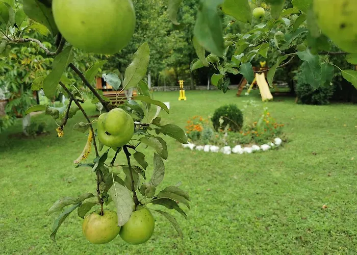 度假居 Ripac Prascijak